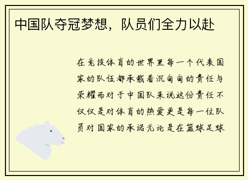 中国队夺冠梦想，队员们全力以赴