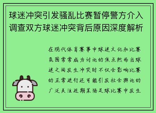 球迷冲突引发骚乱比赛暂停警方介入调查双方球迷冲突背后原因深度解析 球迷冲突引发骚乱比赛暂停警方介入调查双方球迷冲突背后原因深度解析